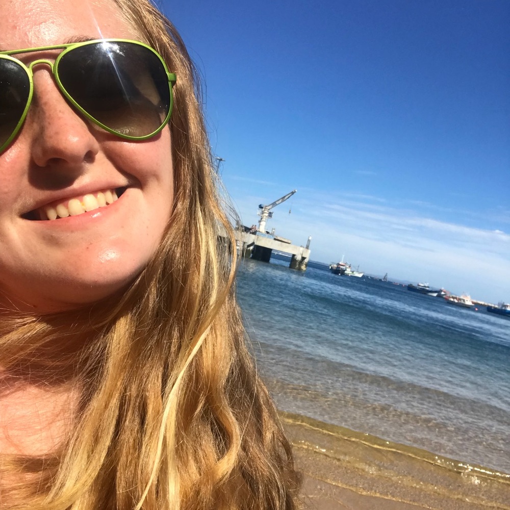 Meet your Posher, Alex